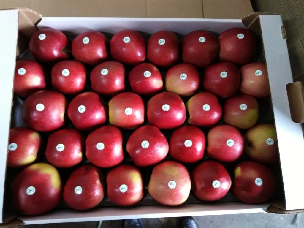 яблоки от производителя в Курске и Курской области