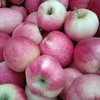 яблоко оптом от производителя в Обояни