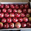 яблоки от производителя в Курске и Курской области